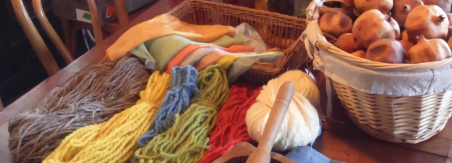 bandeau-couleurs-vegetales-5